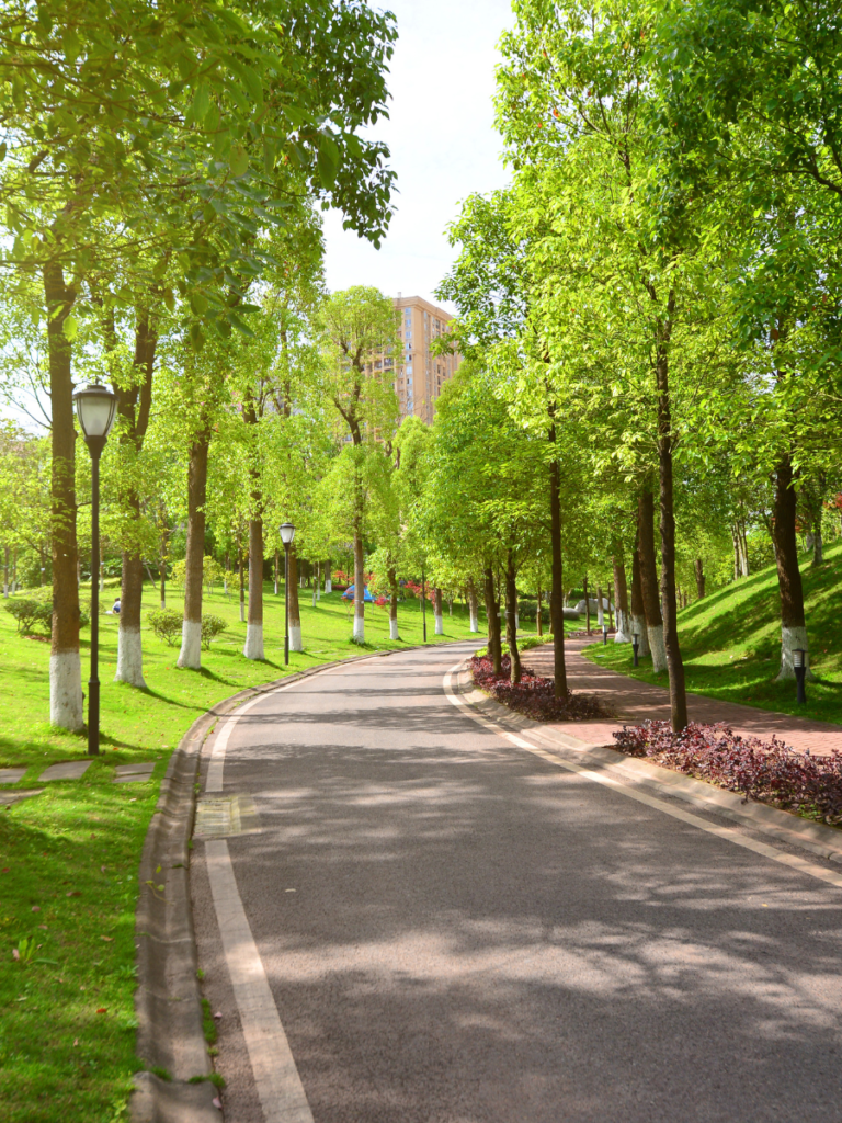 Avenue Park
